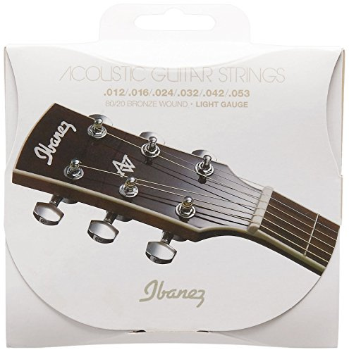 Ibanez IACS6C Cordes pour Guitare Acoustique