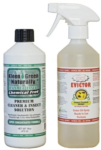 Kleen Green 16oz & Evictor Cedar Oil Insect & Mite Control Spray 500ml