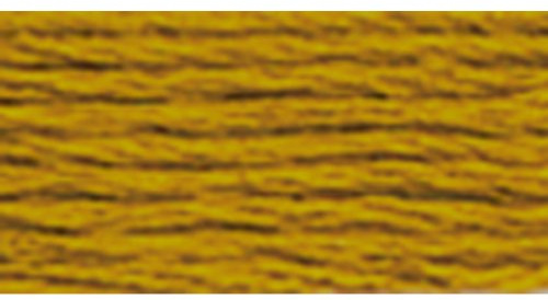 DMC 6 Strand Embroidery Floss - 781 Very Dark Topaz