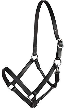 PFIFF Basicline Lederhalfter, schwarz Cob, M
