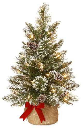 National Tree Company 2ft Pre-Lit Glittery Bristle Mini Christmas Tree