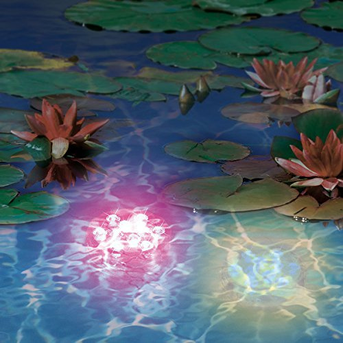 EASYmaxx LED-Lichterzauber mit Farbwechsel