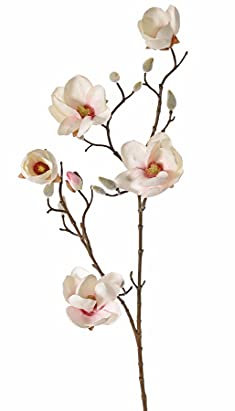 Kunstzweig Magnolia mit 5 weißen Blüten, Länge 80cm - Künstlicher Magnolienzweig Magnolienblüten Dekozweig mit Knospen