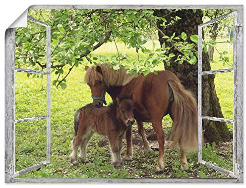 ARTLAND Wanddeko Poster & Kunstdrucke Wandposter Fensterblick Fenster Pferd Pony Natur Wiese Landhaus Baum Ausblick S8HN