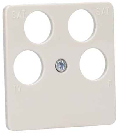 Busch-Jaeger 1743/10-04-212 Zentralscheibe