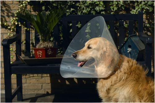 Beeztees 796006 Hundekragen aus Plastik, 47-57 x 30 cm