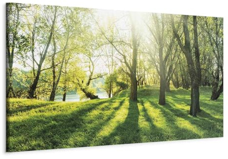 B&D XXL - Leinwandbild Natur Bäume Wald, 135x45 cm, 1-teilig, Schlafzimmer | Hochwertige Leinwand, sofort aufhängbar, ideal fürs Wohn- oder Schlafzimmer, wasserfest und lichtecht, langlebig, stilvoll