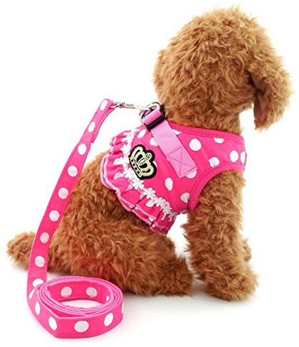 selmai Puppy klein Katze Mädchen Hund Vest Dots Harness Leine-Set Mesh Gepolsterte kein Ziehen Blei