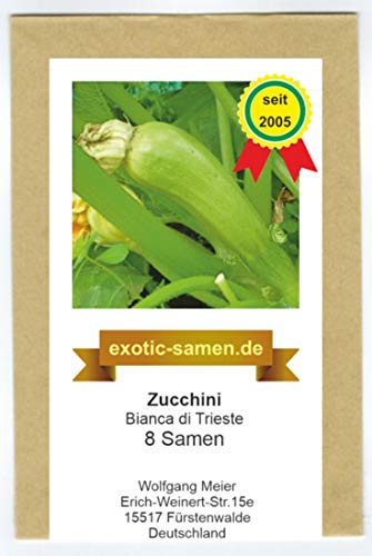 Zucchini -Bianca Di Trieste - 8 Samen