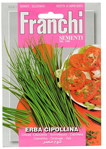 FRANCHI SEMENTI SPA 53/1
