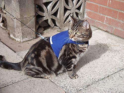 Mynwood Cat Jacke /Geschirre blau Erwachsene Katze ausbruchsicher