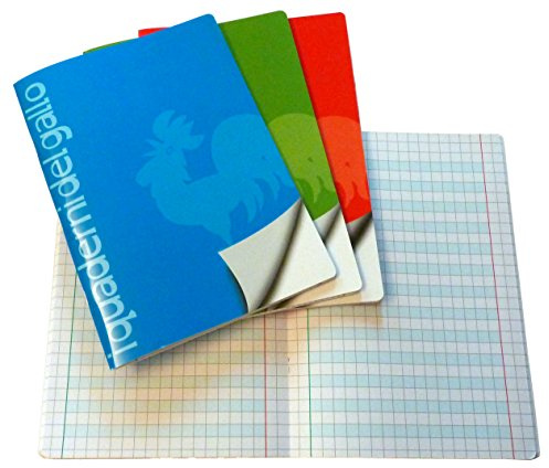 4 carnets spéciaux pour dysgraphie et dyslexie avec des carrés de 1 cm.