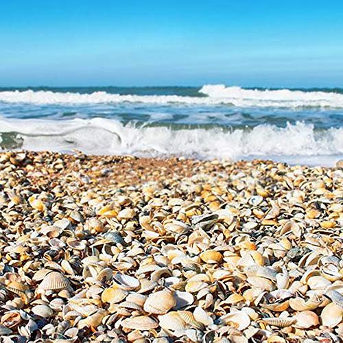 Piedra de grava de 20 kg para destruir las malas hierbas, jardín, patio, camino, planta, cáscara de berberberberberechos