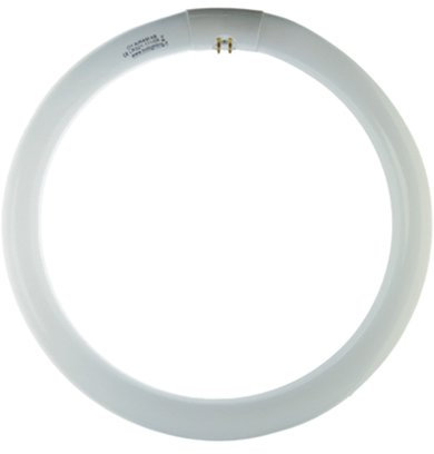 LAMP.FLU.CIRCOL.32W 6500K G10Q