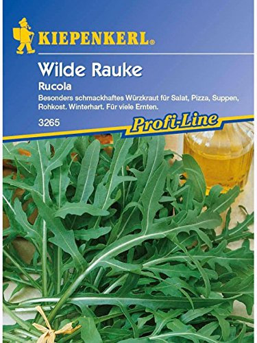 Sperli 3265 Gemüsesamen Wilde Rauke Rucola, grün