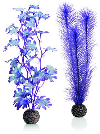 biOrb 46080 Seetang Set M lila - Aquariumdekoration, zwei Wasserpflanzen zur Einrichtung von Süßwasseraquarien und Meerwasseraquarien, für biOrb Modelle ab 30 L