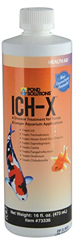 Hikari 69654 Ich-x Water Treatment Nutritional Supplements, 16 fl. oz.