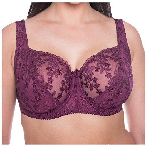 Gemm Ladies Embroidered Large Bosom Lace Underwired Firm Bra Plus Size Cup in Wine (Purple/Red) (38 G)