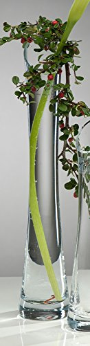 Glasvase Solo - Diago klar konkav 35 cm Ø 4,5 cm cold cut von Sandra Rich