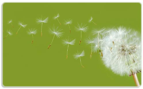 Wallario Frühstücksbrettchen aus Glas, Glasunterlage, Glasbrettchen Pusteblume auf der Wiese mit fliegenden Samen, Größe 14 x 23 cm, Sicherheitsglas
