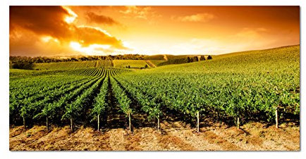 120x60cm - Fotodruck auf Leinwand und Rahmen Weinrebe Landschaft Himmel Sonne - Leinwandbild auf Keilrahmen modern stilvoll - Bilder und Dekoration