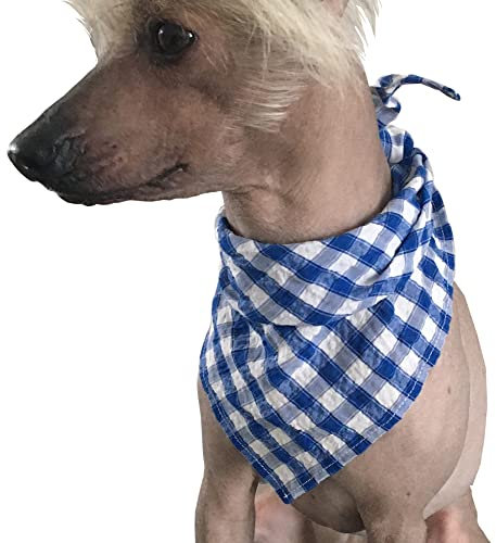 dogfields Halstuch kariert blau, rot