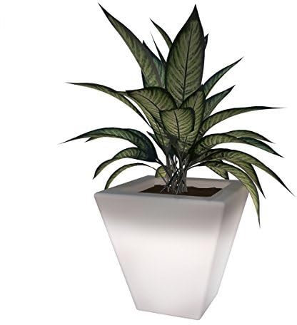 Grandecoracion.com Macetero Cuadrado de 35cm con luz LED para Exterior - Interior