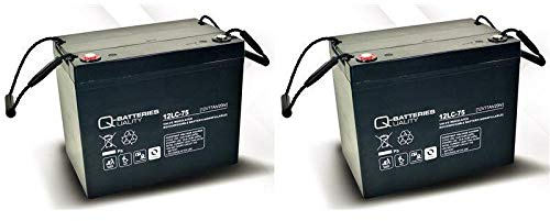 Blei Akku Batterie 2 x 12V/75Ah wie 77Ah für Rollstuhl Elektromobil Meyra Sprint
