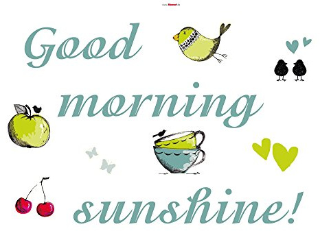 Komar Deco-Sticker SUNSHINE | 50 x 70 cm | Wandtattoo, Wandbild, Wandsticker, Wandaufkleber, Walltattoo, Apfel, Vogel, Herz, Sonnenschein | 17046h