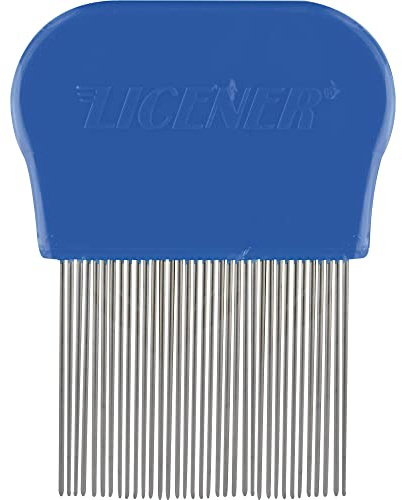 Licener Nissenkamm, 1 St. Kamm