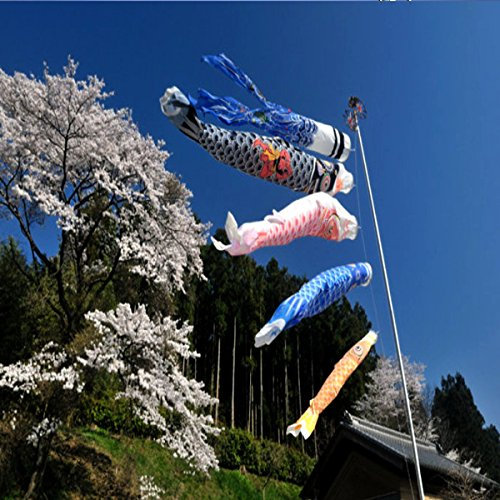 1 Set 5 Pezzi Bandiera Giapponese Carp Carp Banner Windsock Sailfish Koinobori Vento Streamer Muticolor Pesce