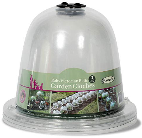 Haxnicks 3 x Small Baby Victorian Bell Garden Coche | Plant Protection | Growing Vegetable | Specimen Plants | Pack of 3 Transparent, 20 x 25 cm | BELL030101