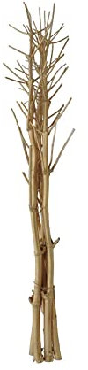 INNA-Glas Rami di salice, essiccati, Dorato, 160-200cm - Decorazione Rami/Legno Decorativo