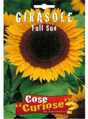 Semi - Girasole Full Sun