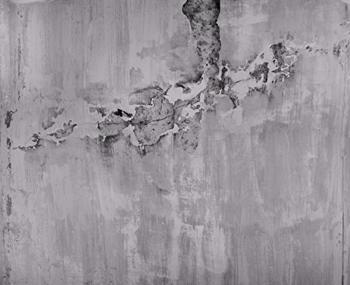 Rasch Fototapete mit Beton-Optik im angesagten Industrie-Look, Grau - Tapete 439908-2,60m x 3,18m (LxB)