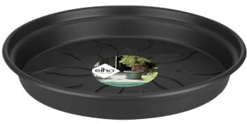 elho Green Basics Saucer Plato, Negro, 53,4X53,4X5,9 cm