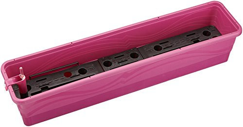 Plastkon même Jardinière d'irrigation Smart Système Gardénia 100 cm Fuchsia/Rouge