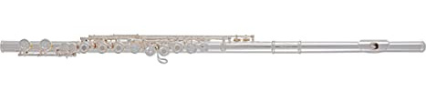 Roy Benson Querflöte FL-602RE (Neusilber-Versilbertes Design, Ringklappen, PISONI-Polster & E-Mechanik, exzellente Klangqualität und Ergonomie, inklusive Pflegezubehör und Edel-Etui)
