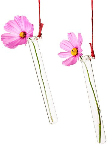 Tuuters 5X Reagenzglashalter für Blumen mit Reagenzglas, Blumenvase zum Aufhängen Transparent