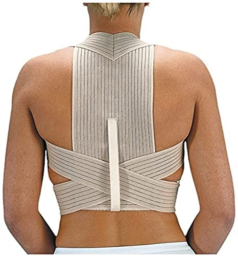 Atmungsaktive Rückenstütze (EMO PL210 BACK SUPPORT. AL. T/3 (L))