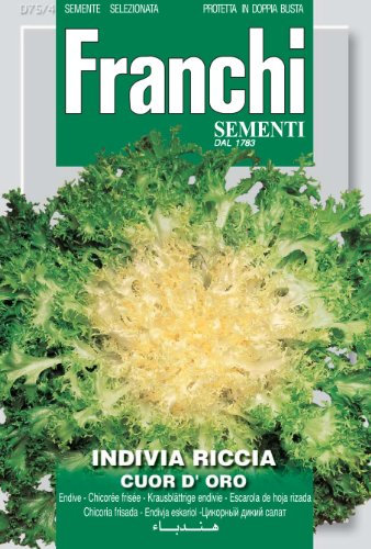 Franchi Endive Riccia Cuor D'Oro