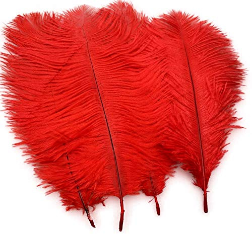 Sowder Lot de 20 plumes d'autruche naturels 25–30 cm, Plumes pour table de mariage, décoration de la maison