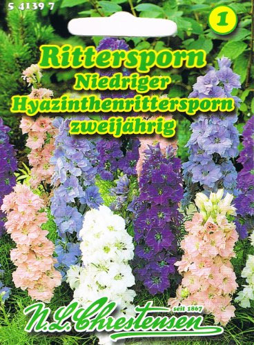 Rittersporn-Mischung 'Hyazinthen' (Delphinium ajacis dwarf) – zweijährige, kompakte Blütenpracht in Hyazinthenfarben,