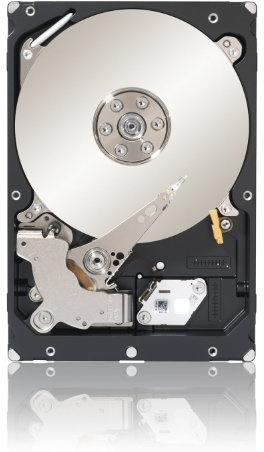 Seagate Constellation ES 7200 500GB interne Festplatte (8,9 cm (3,5 Zoll), 7200rpm, 64MB cache, SATA 6Gb/s) schwarz