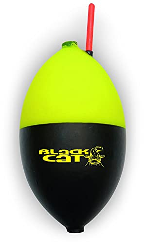 Black Cat