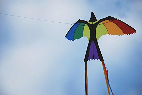 Wolkenstürmer Bonny Bird Vogel Kinderdrachen - 1-Leiner Drachen für Kinder, flugfertig inkl. 40m Schnur