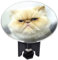 WENKO 21386100 Waschbeckenstöpsel Pluggy XL Grim Cat - Abfluss - Stopfen, Messing, Kunststoff, Durchmesser 6,2 x 6,5-9,5 cm