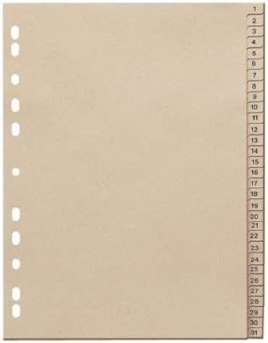 Unbekannt Keine Marke 846131-1110-81 Papier-Register 1-31 10x Vf A4