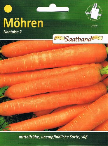 N.L.Chrestensen 42002, Möhren, Nantaise 2, Orange