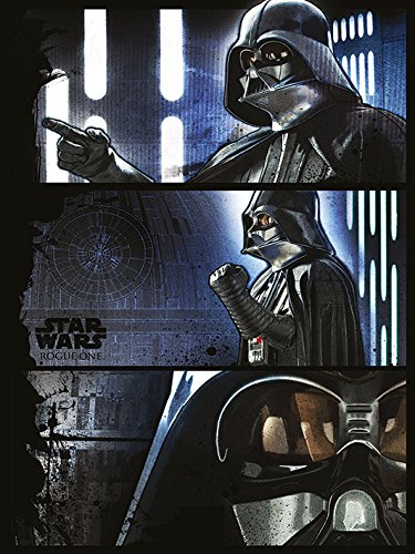 Star Wars Rogue One Vader Panels, 60 x 80 cm, Leinwanddruck, Mehrfarbig